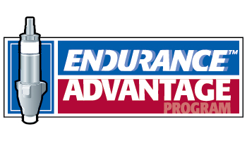Endurance Advantage